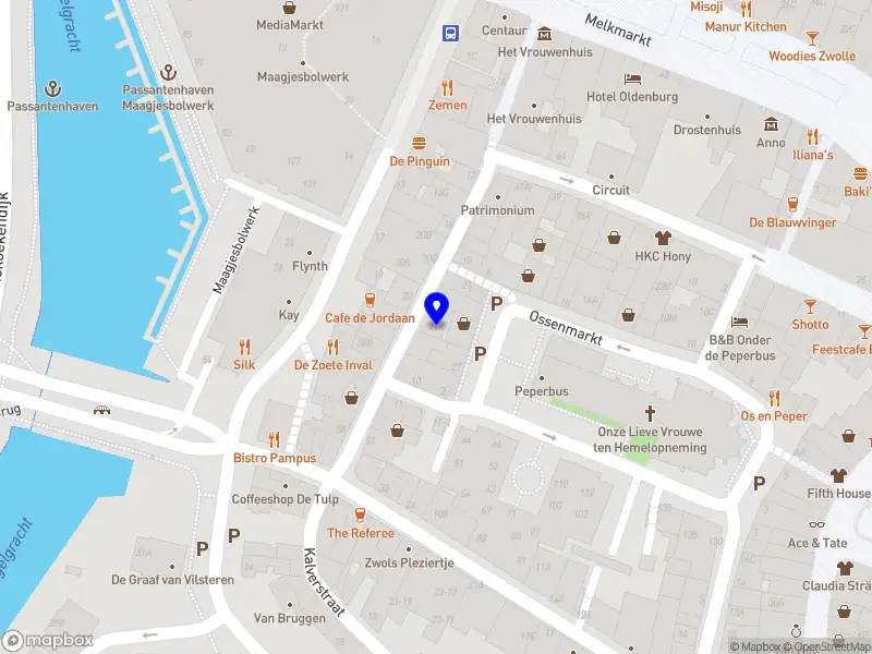 Muziek met Jorien Zwolle