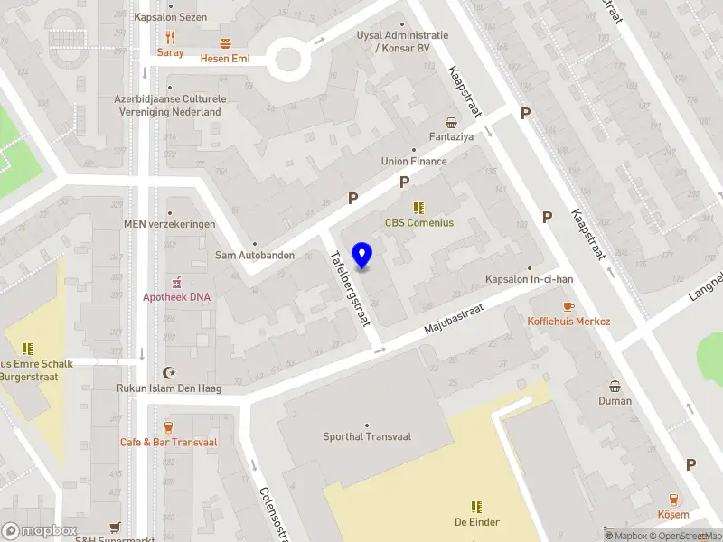 Pinnacle Software Solutions 's-Gravenhage