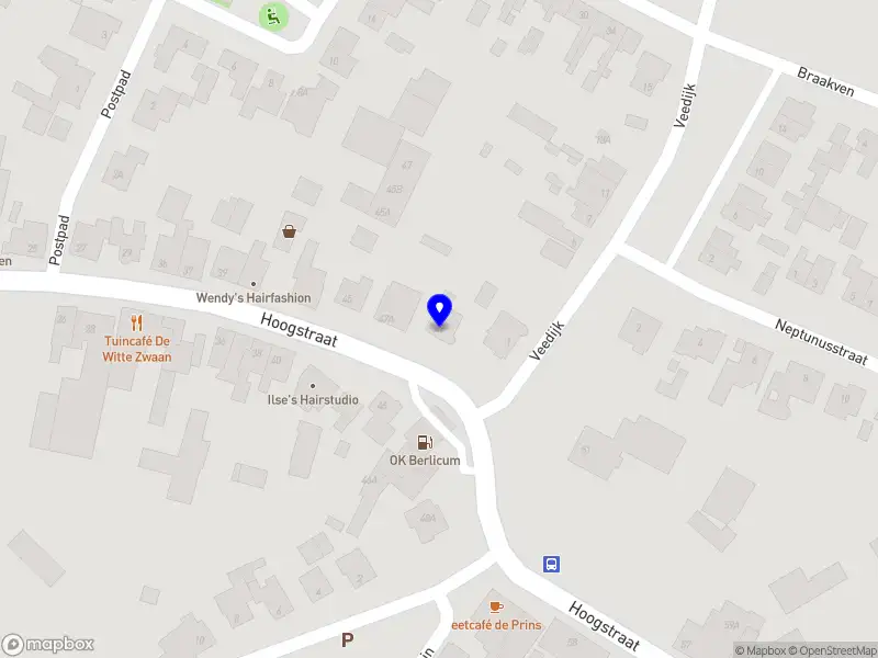 Nieuw bedrijf The Growth Pioneer