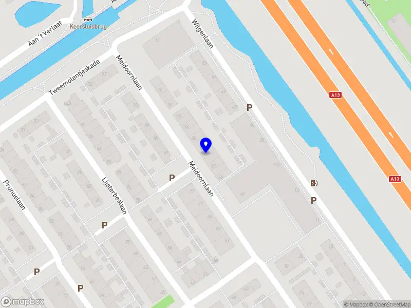 Taalbloei Logopedie Delft