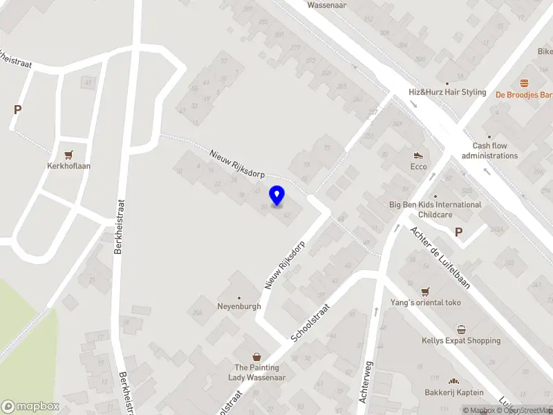 DSM Holding B.V. Wassenaar