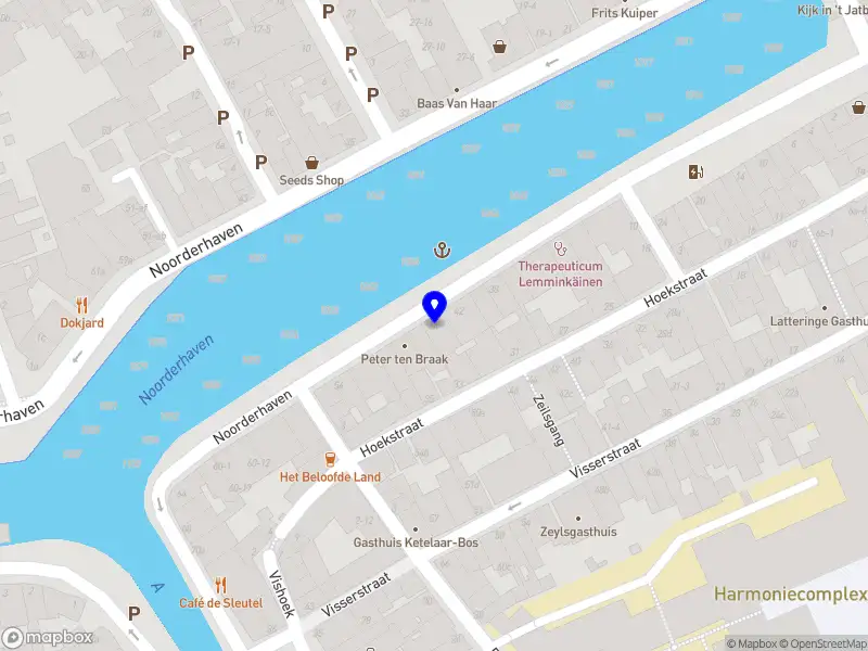 Femke Lettinga Freelance Schrijver