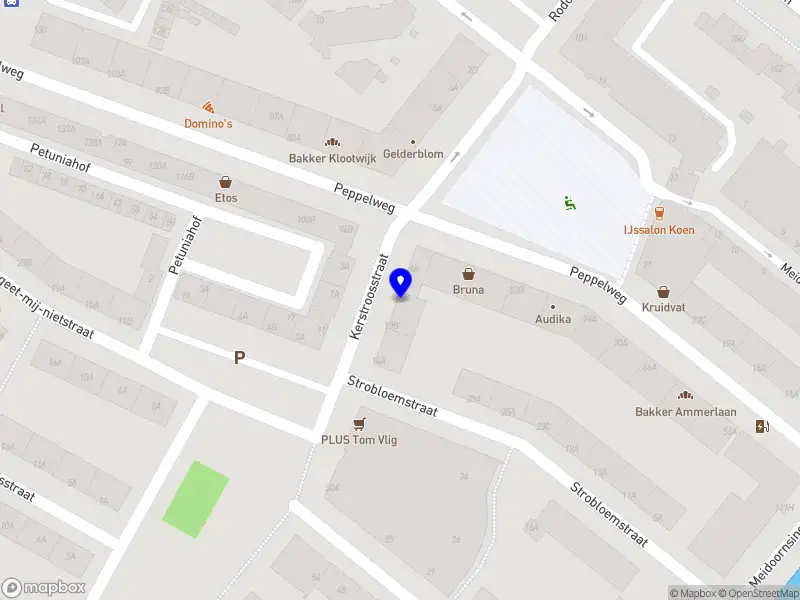 TvdB Services Rotterdam