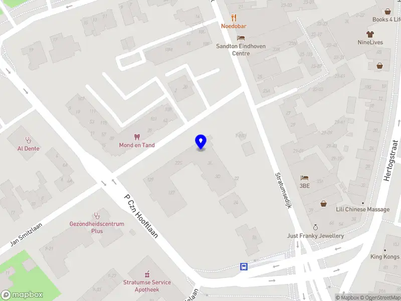 Neuro-Resilience Coaching and Consulting Eindhoven