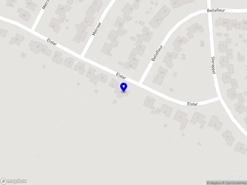 Van der Steen interim & advies