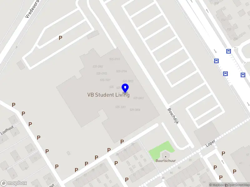 Polish Society eindhoven