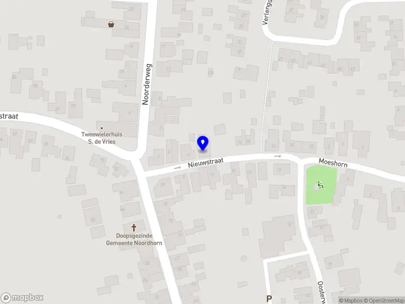 Marlies Heemstra Bedrijfsmaatschappelijk werk