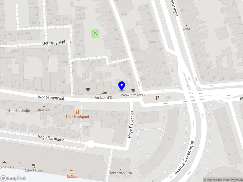 Pinselfisch Consulting Maastricht
