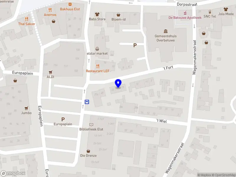 Pels Consultancy Elst