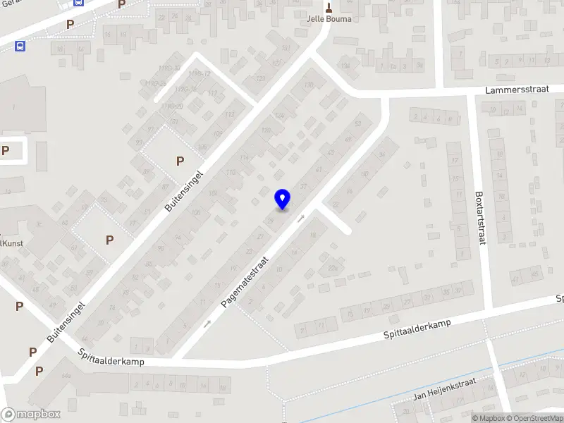Praktijk Medium Korenbloem Zutphen