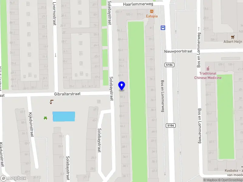 Robin Hornman Muziek Amsterdam