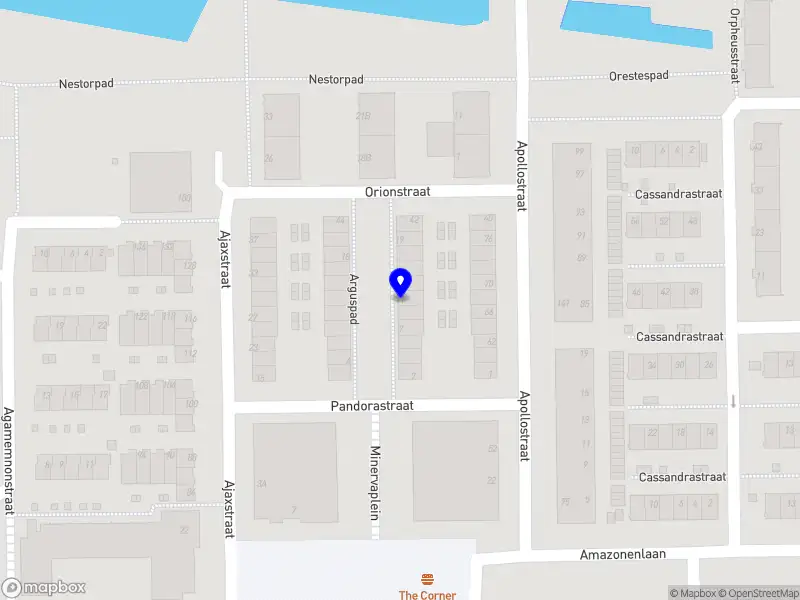 Cocco di mamma Rotterdam