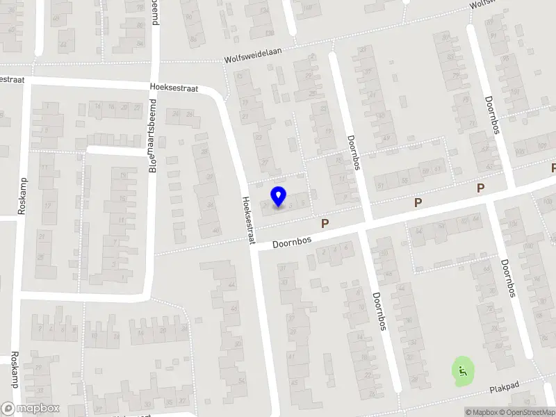 Luma Direction & Strategy