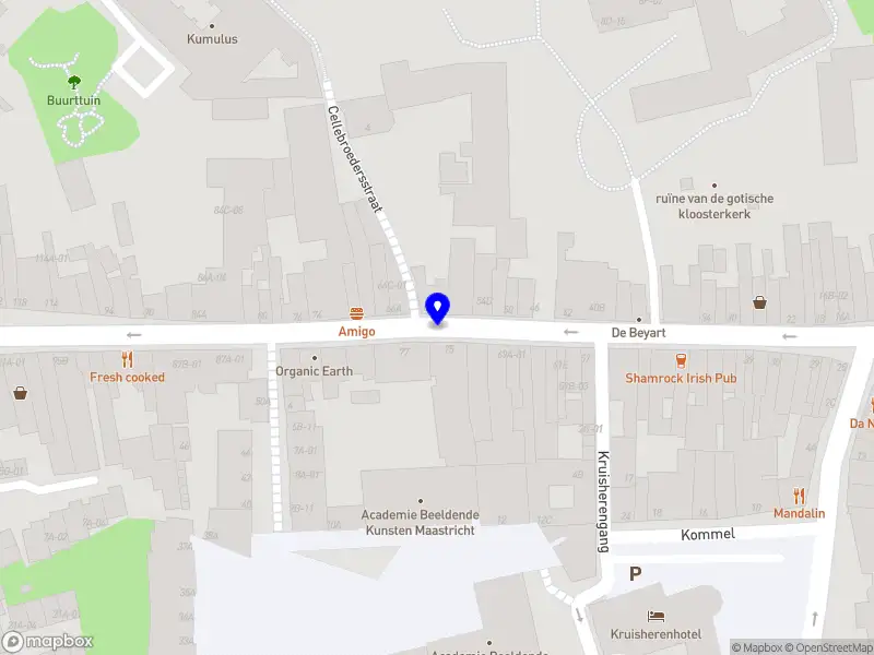 Bao Anh Hospitality Maastricht