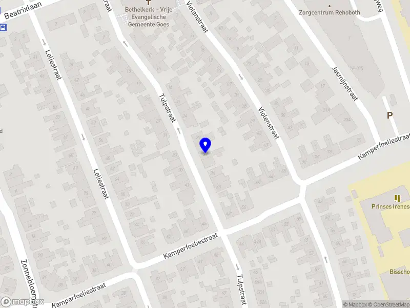 Nieuw bedrijf Carien Holding B.V.