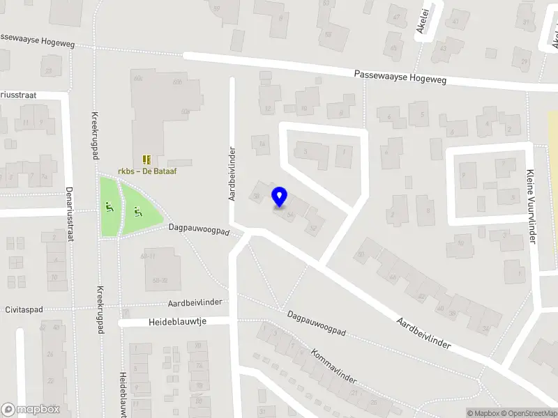 Racket Sports Next Level