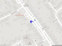 De Groene Roos Tuinontwerp en Ecologie