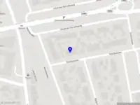 Hemmes & Dingboom Huisdierenuitvaartbegeleiding