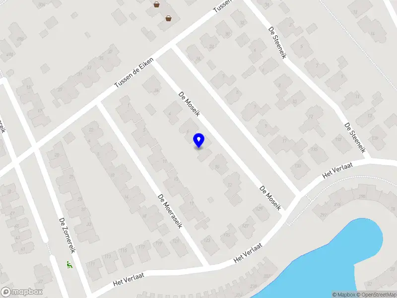 Bruinewoud Consultancy