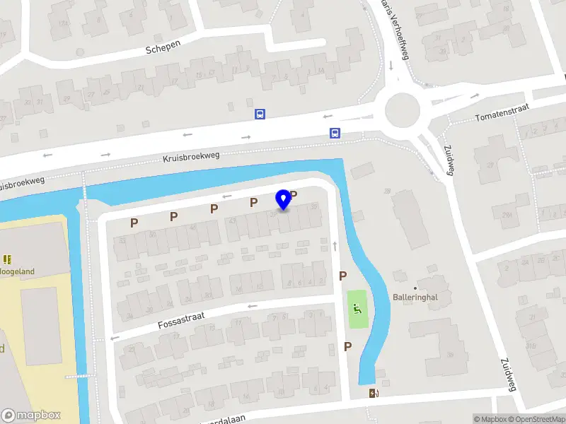 Reset life by Denise Naaldwijk