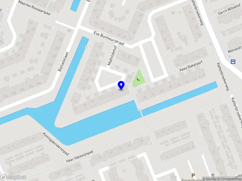 Forza Xclusive Designs