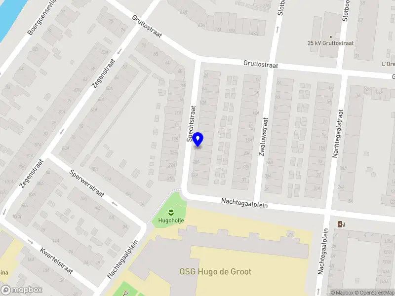 Network Multiservices