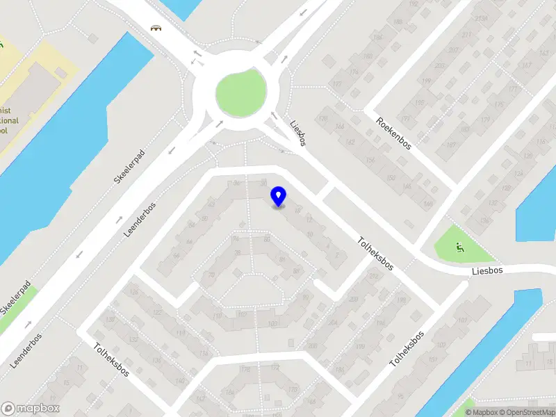 Lion Shield Security