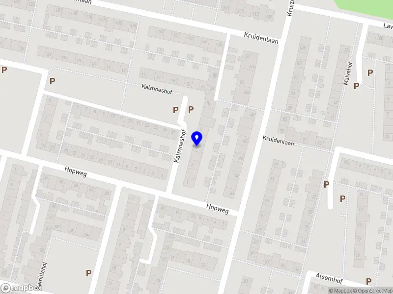 Bas Schoonmaakbedrijf Tilburg