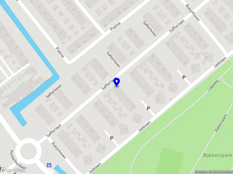 Rise and Transform Coaching