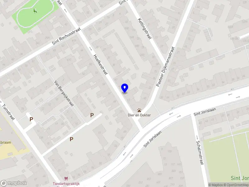 Stichting Fakkeltocht Eindhoven