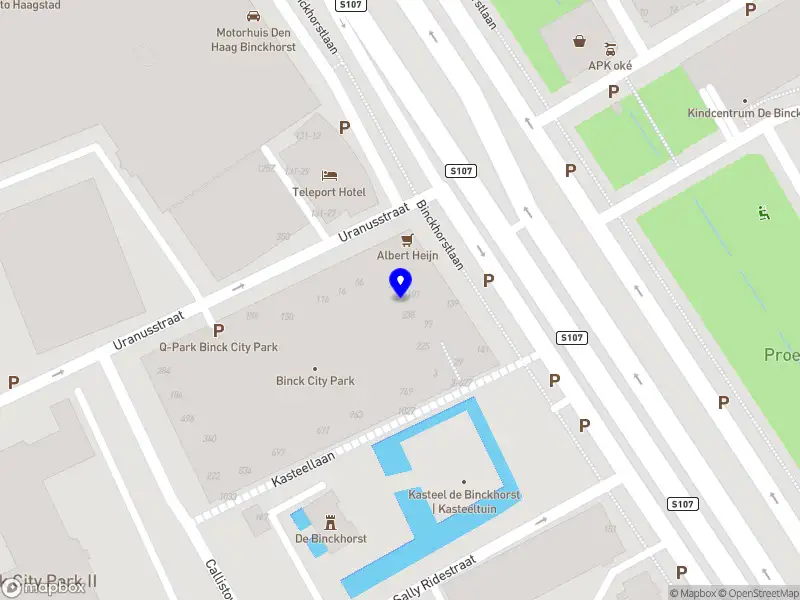 Shayanegar Elektrisch 's-Gravenhage