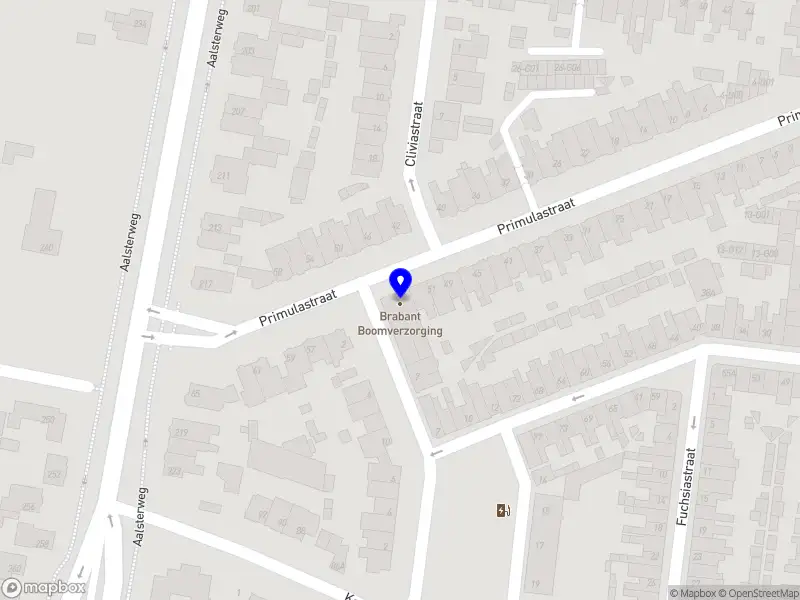 The White Butterflies