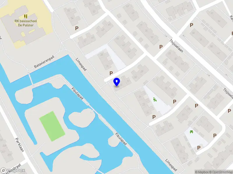 Huib SvS Consultancy