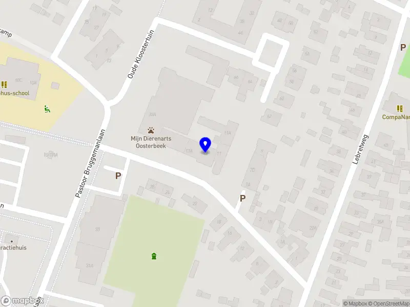 Janssen psychotherapie