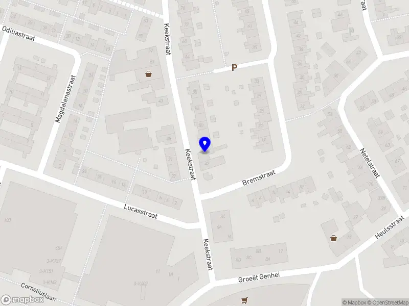 HAS Investment Group B.V.