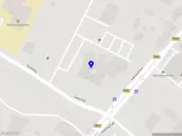 Beauty Blossom by Anne-fleur