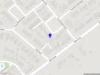 Quint Boomverzorging