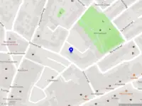 Sandwich & BBQ grill