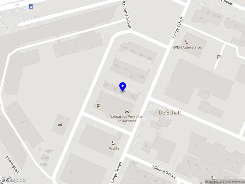 Dance Forest Productions