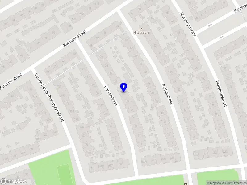 Leeuwegraaf Juridisch Advies