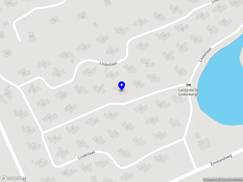 Laura de Wit hondenfotografie