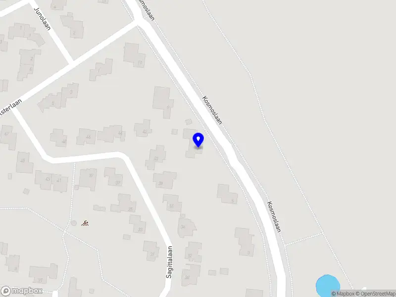 Chris Buma Management Services B.V.