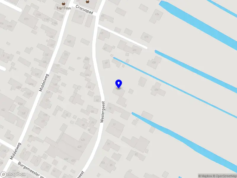 Nieuw bedrijf Siam Holding B.V.