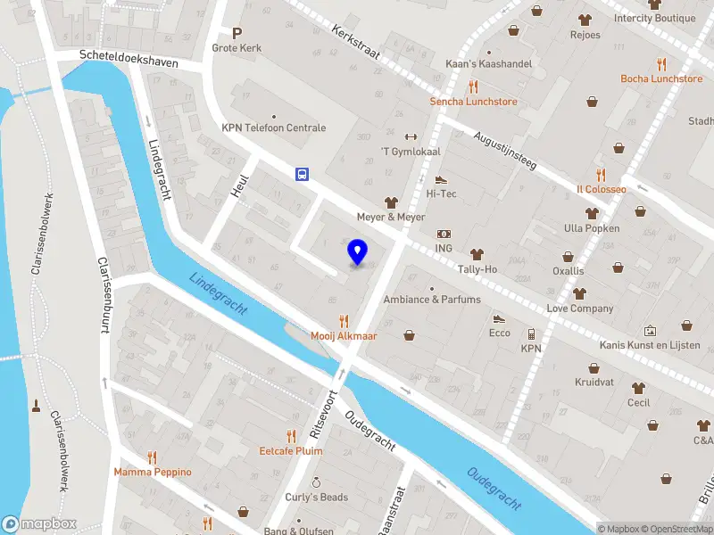 Frederique van Sprang