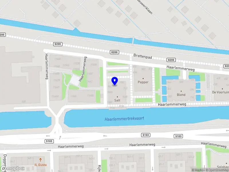 Halle Dang Marketing