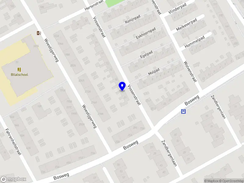 JD Tuin en Bestrating