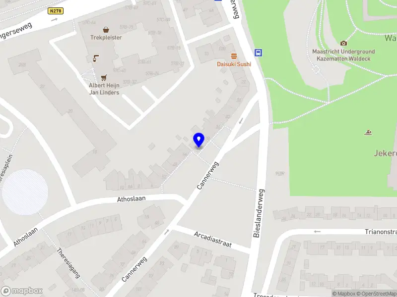 Dieke Cornelissen Coaching & Therapie