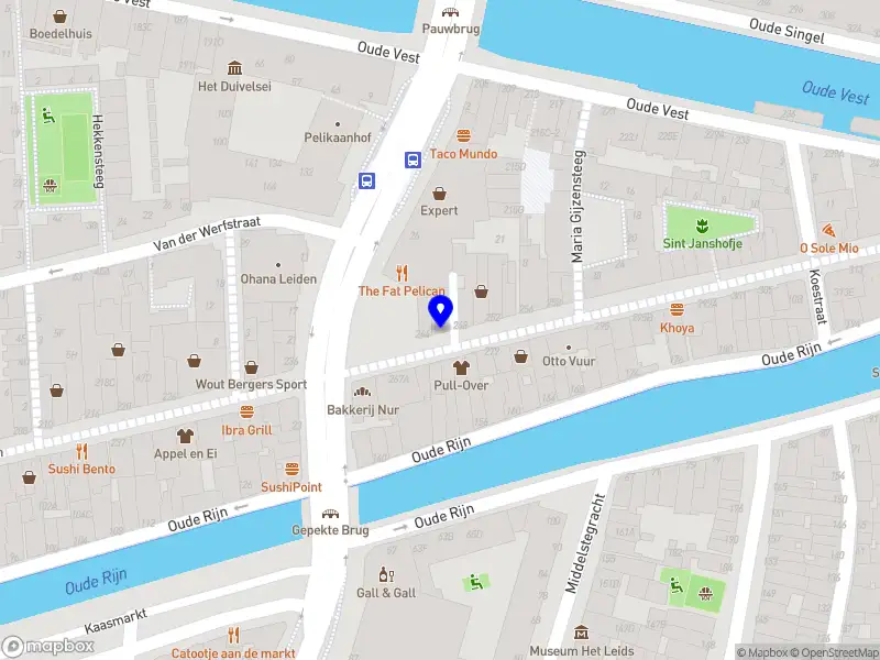 Vereniging van Eigenaars Haarlemmerstraat 246, 246 A en 246 B te Leiden