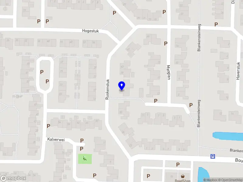 Hondenuitlaatservice Happy and Friends