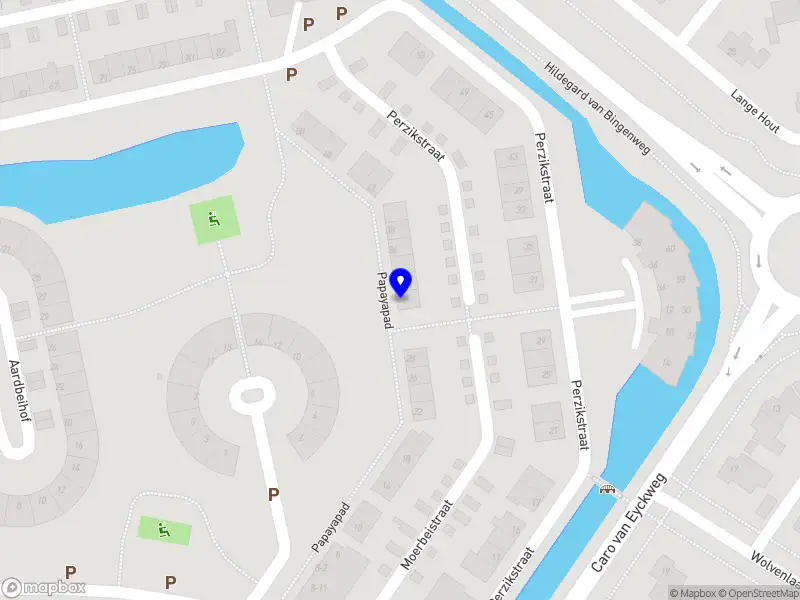 Thacito web & data solutions Assen